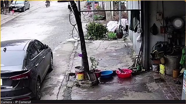 Ce poisson réussit à s'évader : plus de diner pour ce soir