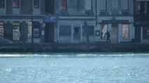 Dos delfines nadan tranquilamente por los canales de Venecia