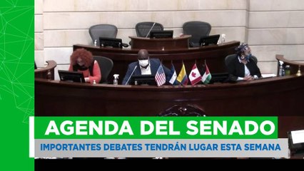 Importantes proyectos que retoman esta semana discusión en el Senado