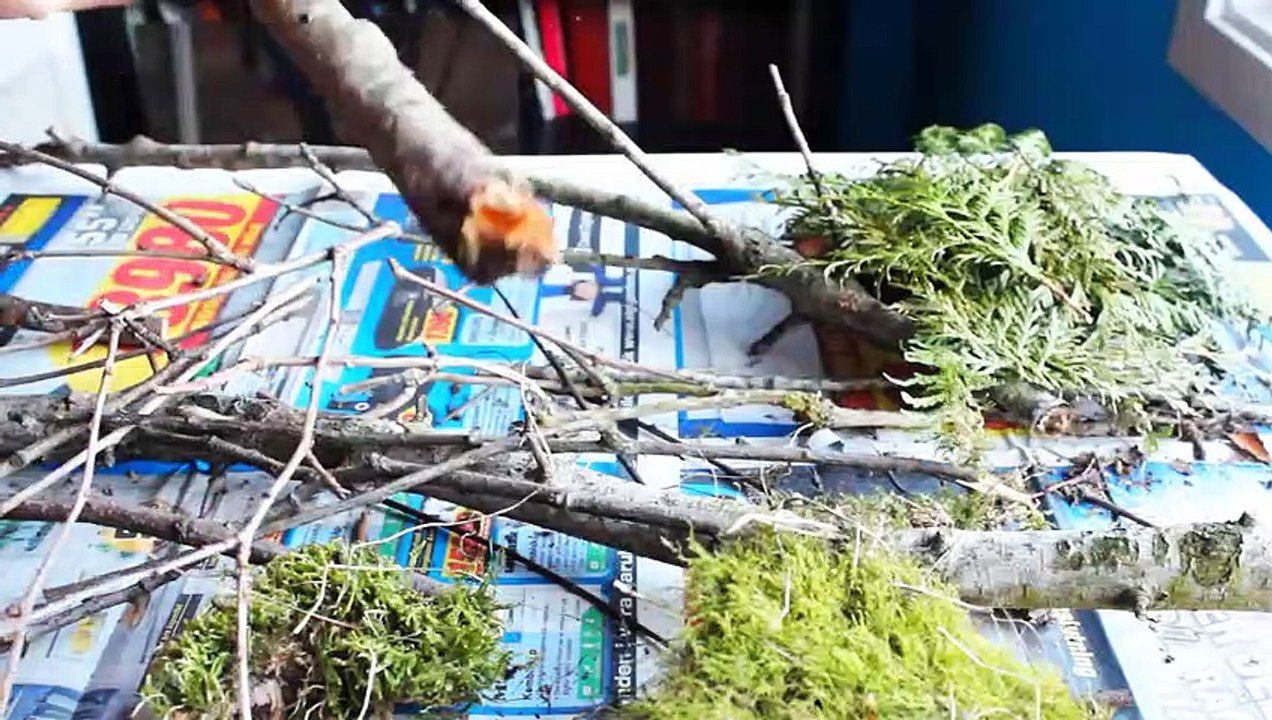 Building A Creative Tree