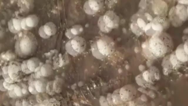 Ceviz büyüklüğünde dolu yağdı