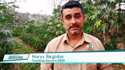 Costa Rica Noticias Regional - Jueves 25 Marzo 2021