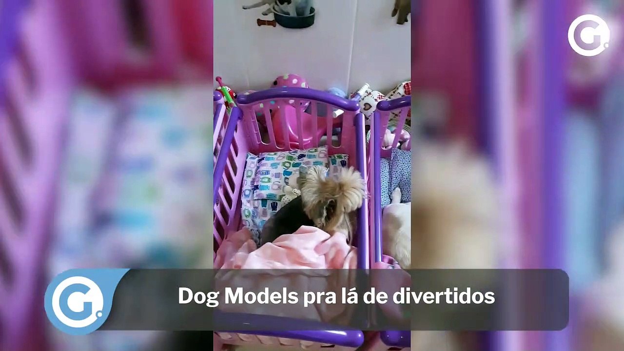 Dog Models pra lá de divertidos