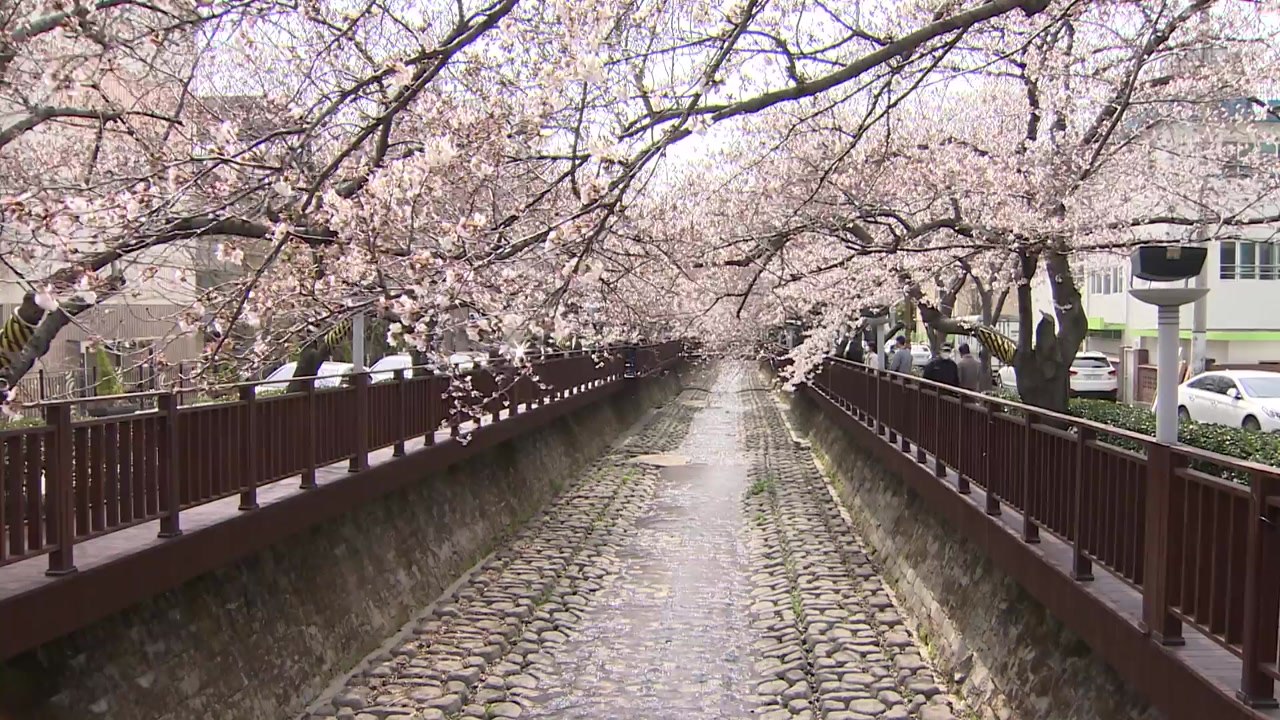 [날씨] 아침 쌀쌀, 낮 포근...서쪽 오전 '황사' / YTN