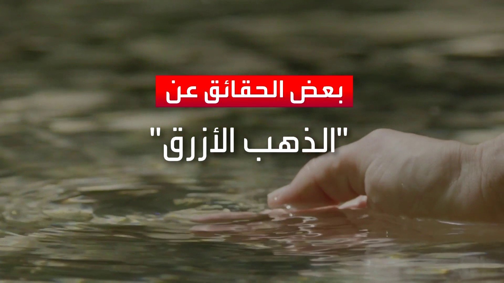 AR - وثائقي الذهب الأزرق وحيتان المال: ماذا يحدث عندما تصبح المياه سلعة؟