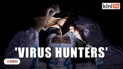 'Virus Hunters' hope to stop the next pandemic by catching bats