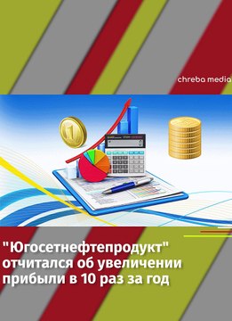 «Югосетнефтепродукт» за 2020 год увеличило свою прибыль почти в 10 раз