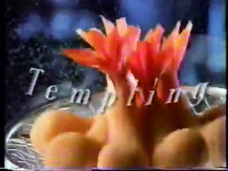 The 3 stooges    Whoops Im an Native part 3/4