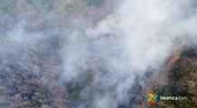 tn7 Bomberos atienden incendio forestal en Guanacaste 220321