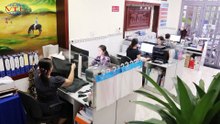 Công ty chuyên cung cấp vải kate, vải polyester, vải bố, vải bọc đệm giá tốt tại TP Hồ Chí Minh