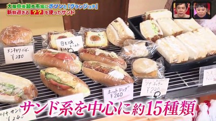 バラエティー 動画 まとめ - バラエティ 動画 japan - なるみ岡村過ぎるＴＶ動画　9tsu  2021年03月22日