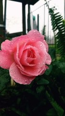 ek subhanallah padne ka ajar | peer zulfiqar ahmad naqshbandi db