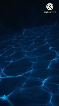 mohabbat kis se karna | peer zulfiqar ahmad naqshbandi db