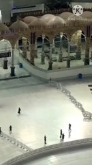 hum is duniya me kis liye jinda rahe | peer zulfiqar ahmad naqshbandi db