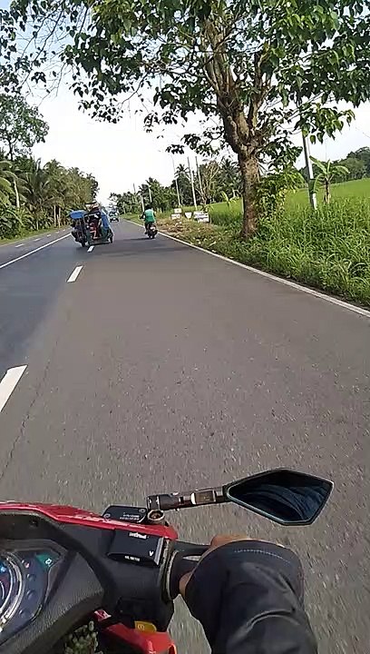 Rides