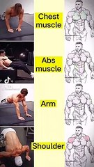 Chest Abs Muscle And Shoulder