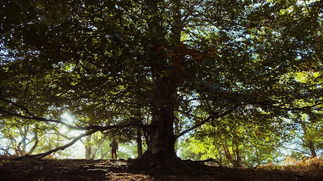 Bon Voyage Ein Franzose in Korea Film