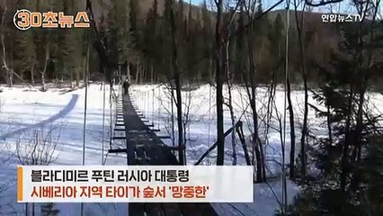 [30초뉴스] 미국이 뭐라하든…푸틴, 시베리아 숲에서 국방장관과 '망중한'