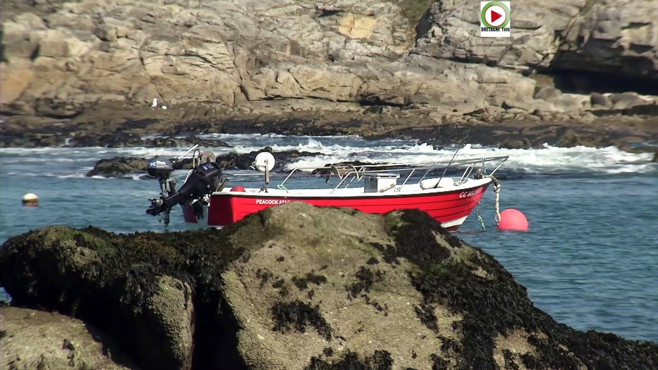 Ploemeur   |  Le port de Kerroch - Bretagne Télé