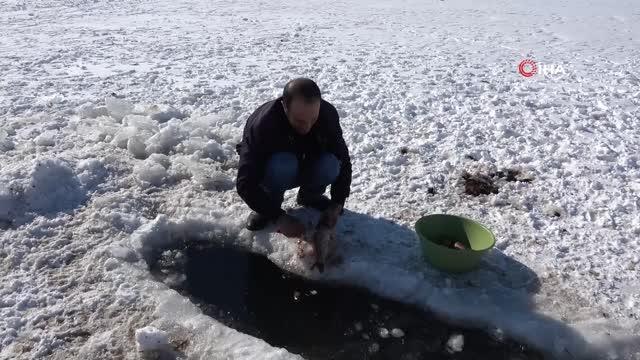 Son dakika haberi! Doğunun incisi Çıldır Gölünde Atlı Kızakla türkü keyfi