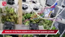 Kenevir yetiştirmek için evini seraya çeviren kişi yakalandı