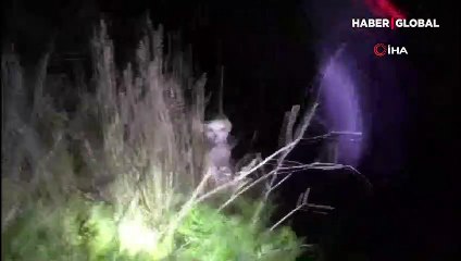 Bursa'da vahşet...Boynuna ip dolayıp surlarda ölüme terk ettiler