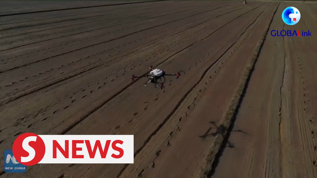 Drone technology helps farming go smart in southern China
