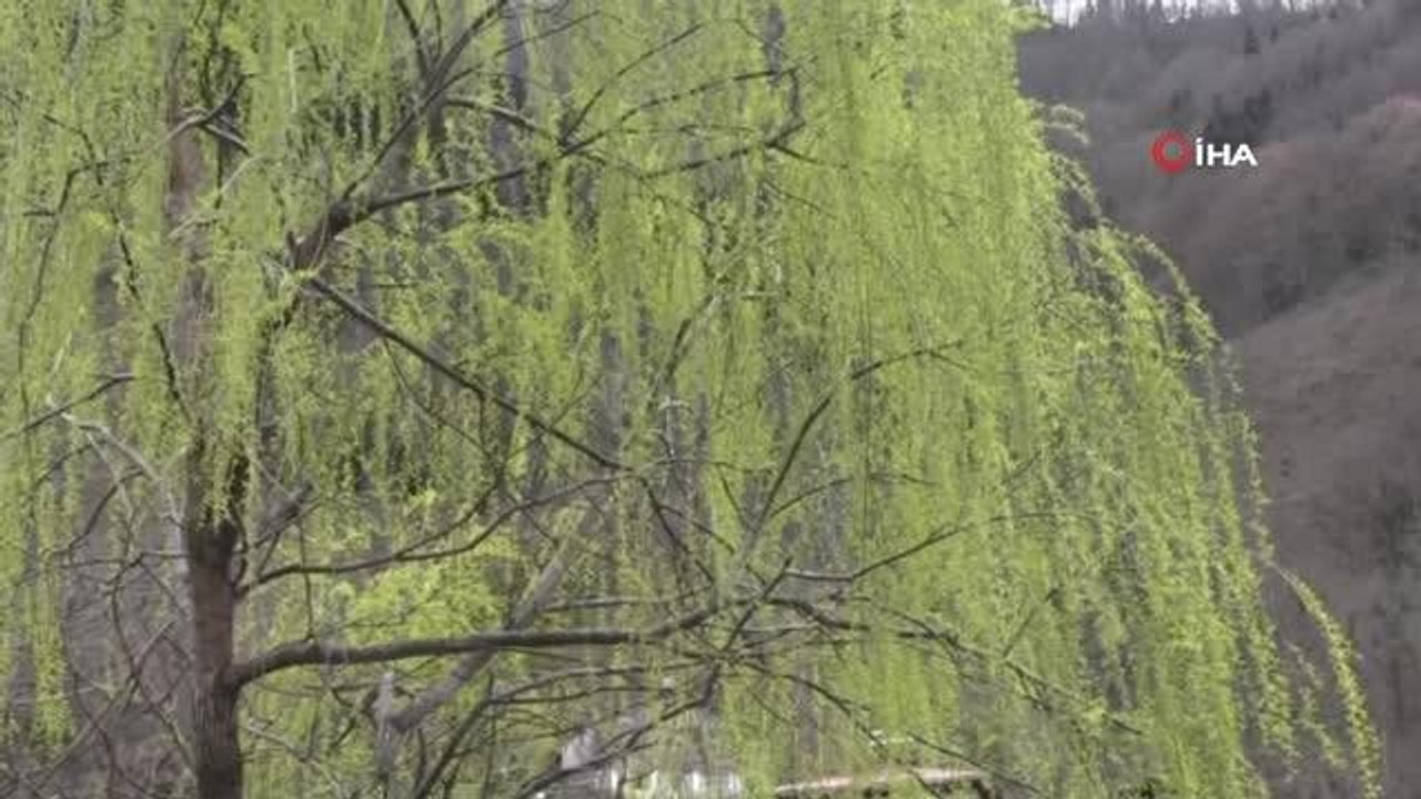 Macahel bölgesinde karla ve çığla mücadele gece gündüz devam ediyor