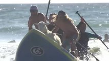 Surf con cabras para atreverse en el mar