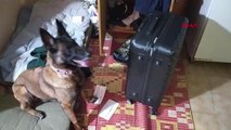 MERSİN Narkotik köpek tepki verdi, valizden uyuşturucu çıktı