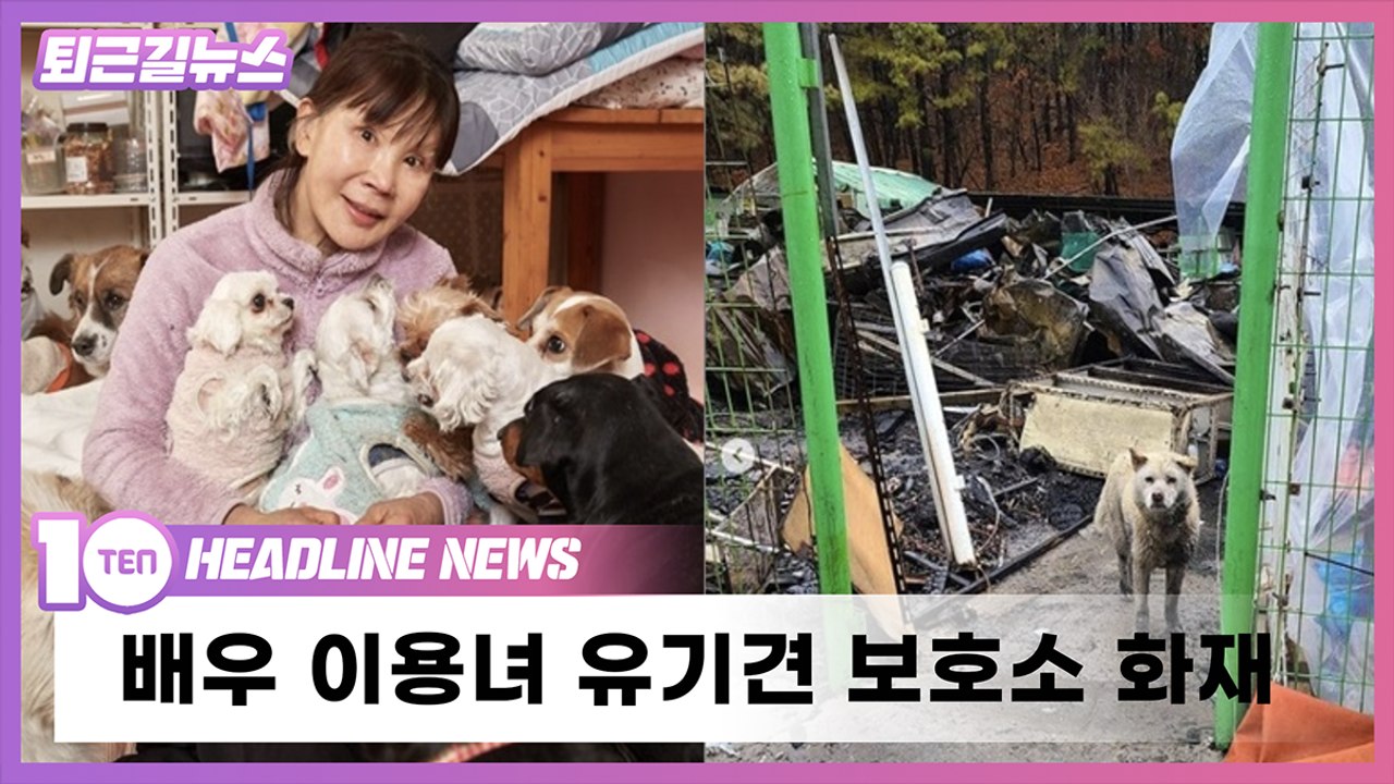 "유기견 대모' 이용녀 유기견 보호소 화재 [퇴근길뉴스]