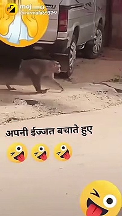 Comedy