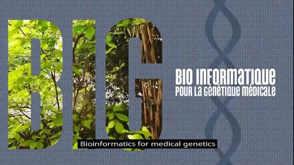 FUN : BiG - Introduction to Bioinformatics for Medical Genetics