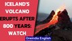 Iceland: Spectacular video of an erupting volcano goes viral, lava flows like river| Oneindia News