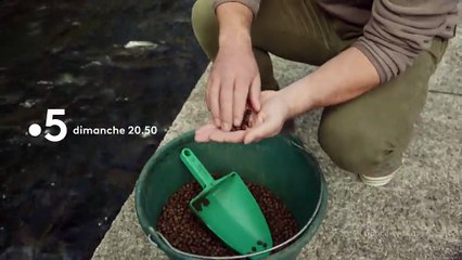[BA] Des poissons bien élevés ? - 28/03/2021