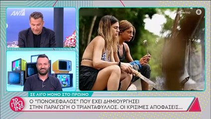 Survivor spoiler: Τέλος ο Τριαντάφυλλος; Κρίσιμα τα επόμενα εικοσιτετράωρα για την παραμονή του