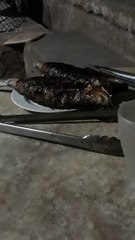 Bangus