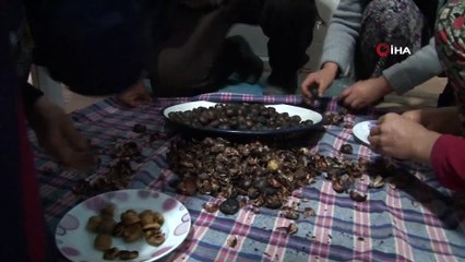 Bursa’nın Şekerinde Kullanılan Buldan Kestanesi Coğrafi İşaretle Tescillendi İha