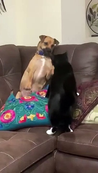 Ho les pattes !
