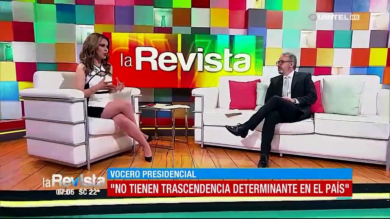 Vocero presidencial aclara declaraciones sobre la llegada al poder de Jeanine Áñez