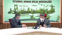 İSTANBUL - ÖNDER İmam Hatipliler Derneği Hatıra Ormanı kuruluyor