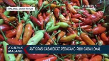 Waspadai Cabai Dicat, Pedagang Pasar di Malang Pilih Jual Cabai Lokal