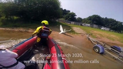 RSPCA looks back at the past 12 months on lockdown anniversary (C) RSPCA