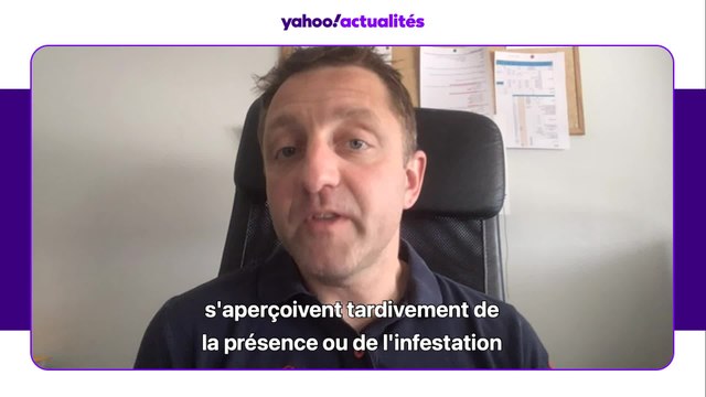 Romain Lasseur : Les punaises de lit touchent 1,3 million de Français chaque année. Elles ne transmettent pas de maladie mais leur impact sur la santé mentale des victimes est terrible