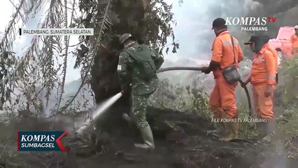 Sanksi Pembakar Lahan Di Sumsel Akan Lebih Tegas