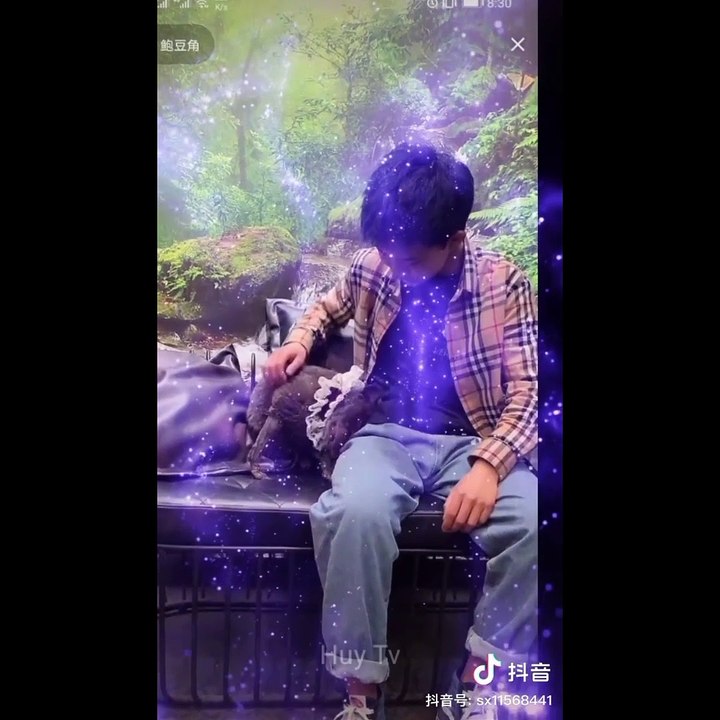 DOGS CUTE AND FUNNY VIDEO