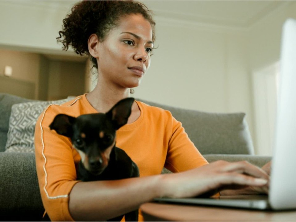 Haustier-Boom: Tierische Mitbewohner werden immer beliebter