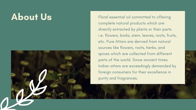 Bulk Co2 Extracts Oils Suppliers in USA