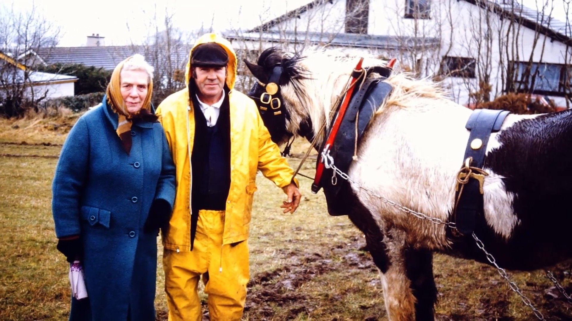 ⁣Vintage photographs capture St Patrick's Day ploughing match