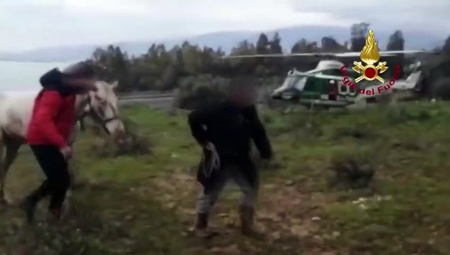 Stalettì (CZ) - Cavallo scivola in un dirupo salvato dai Vigili del Fuoco (23.03.21)